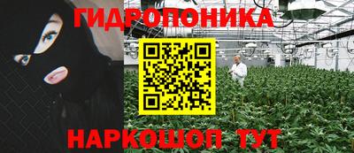 бошки Краснодар