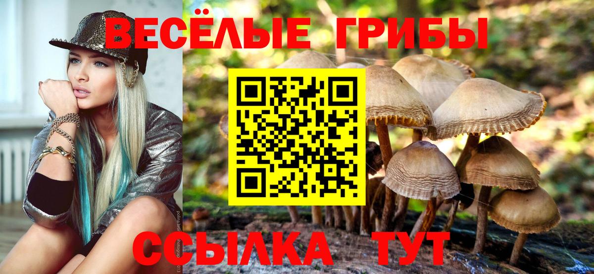 Галлюциногенные грибы мухоморы Когалым