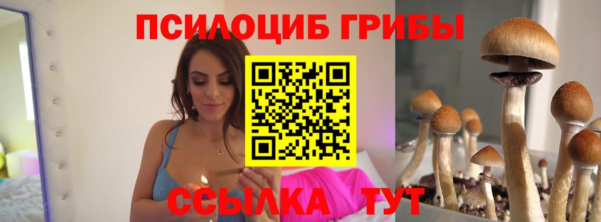 купить наркоту  Вход с VPN  Когалым  Псилоцибиновые грибы прущие грибы 